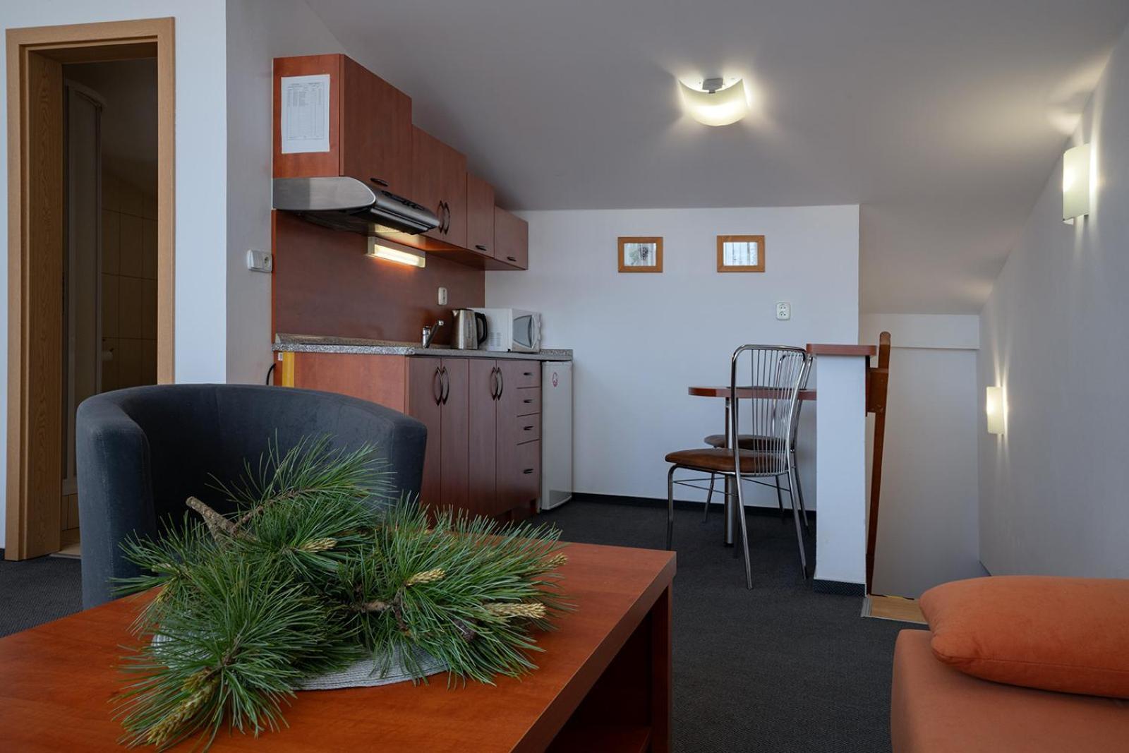 Ferienwohnung Studia Sprava Tanapu Štrbské Pleso Exterior foto