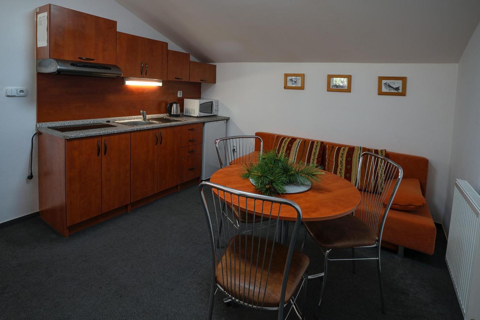 Ferienwohnung Studia Sprava Tanapu Štrbské Pleso Exterior foto